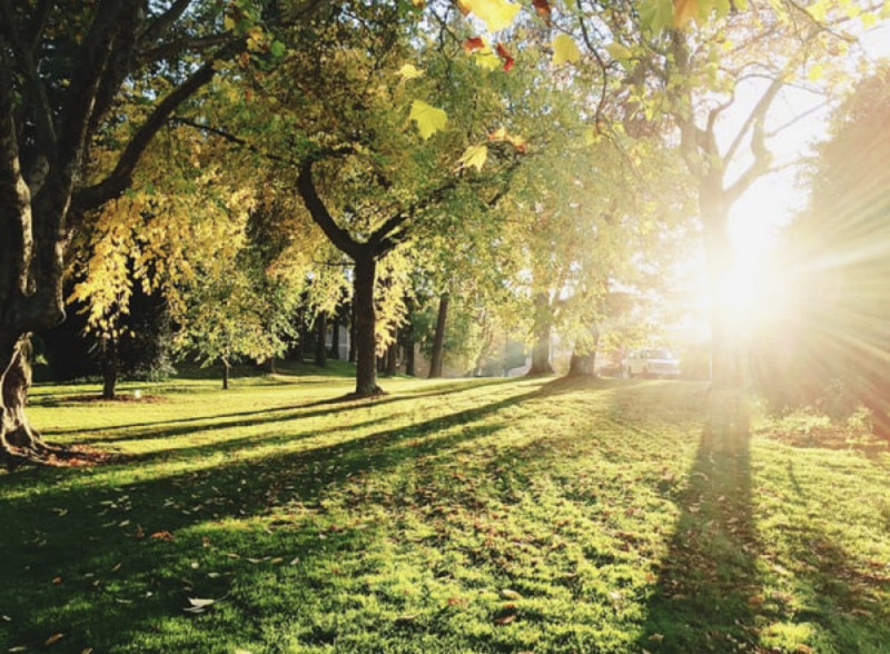 Nature is Medicine