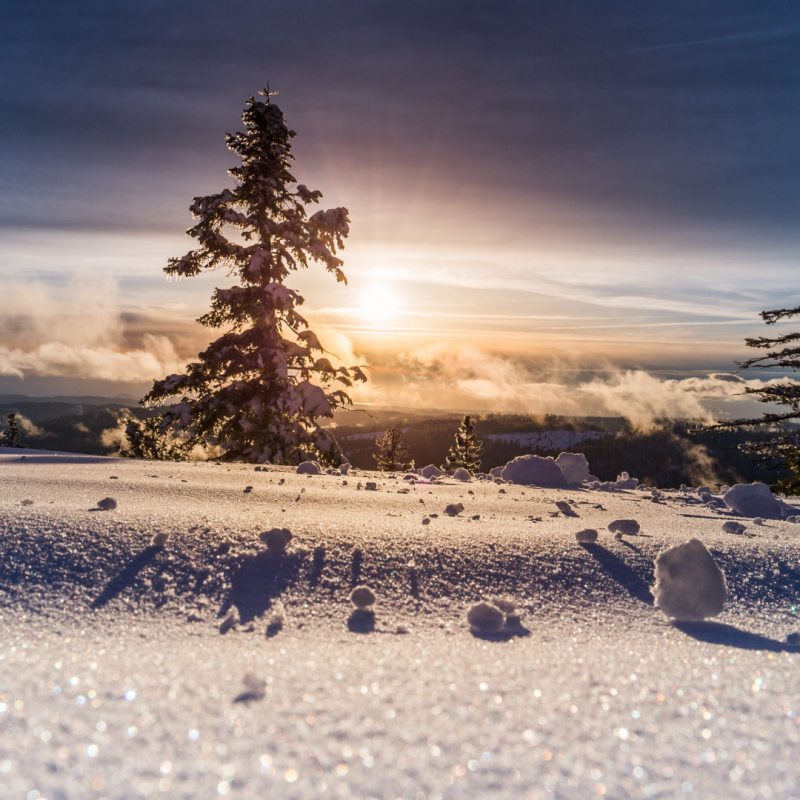 Witchy Wednesday: Winter Solstice
